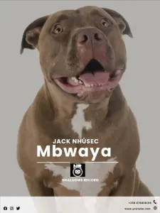 Jack Nhusec – Mbwaya