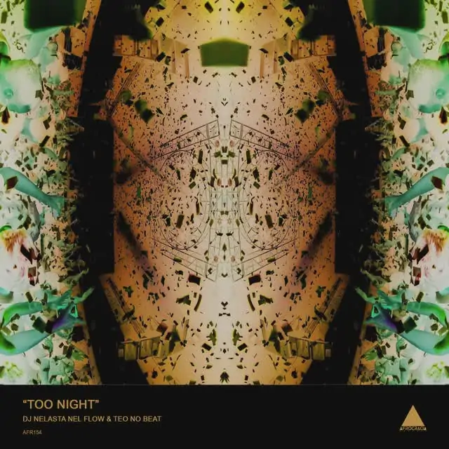 DJ Nelasta Nel Flow – Too Night (feat. Teo No Beat)