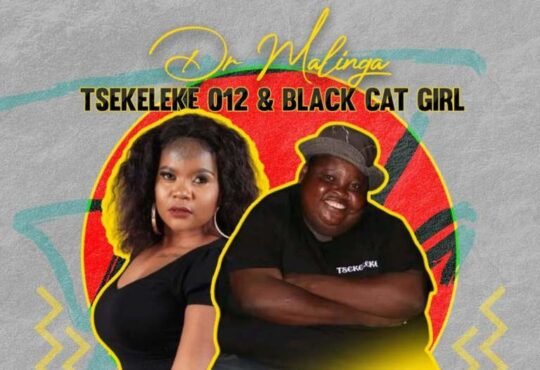 Dr Malinga – Tsekeleke (feat. Tsekeleke 012 & Black Cat Girl)