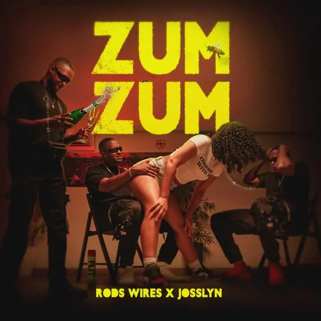 Rods Wires & Josslyn – Zumzum