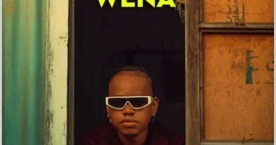 Vizzow Nice – Wena