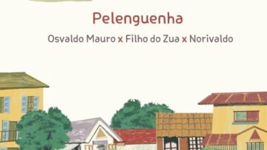 Dj Osvaldo Mauro, Filho do Zua, DJ Norivaldo Metido – Pelenguenha (Main Mix)